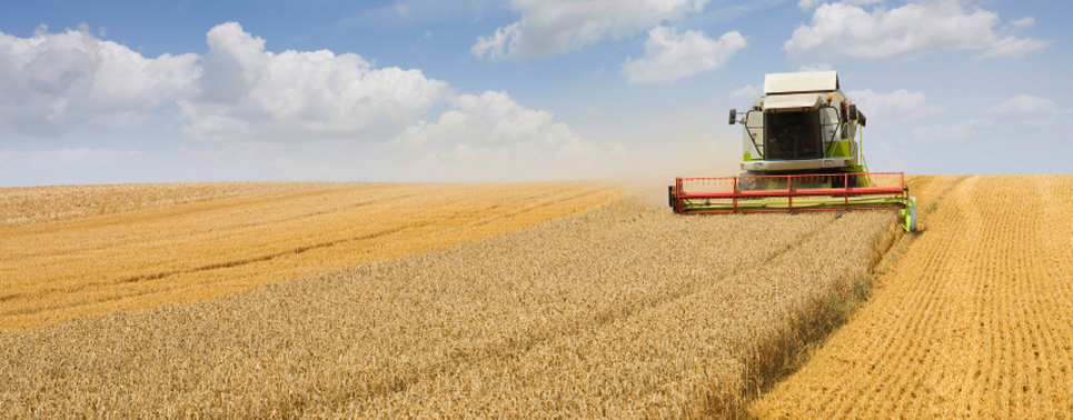 Agricultiral imagery applications