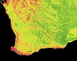 Land Surface Temperature